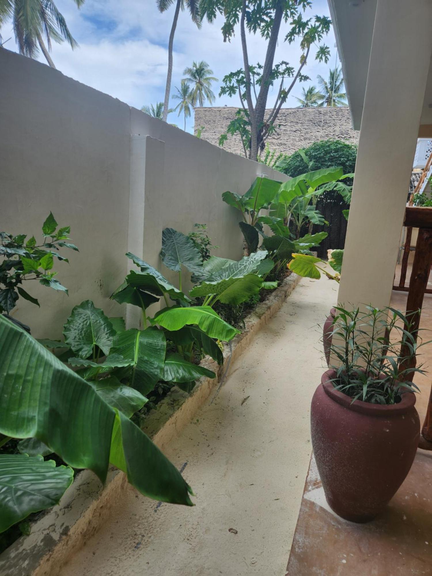 Two Palms Hotel Jambiani  Exterior photo